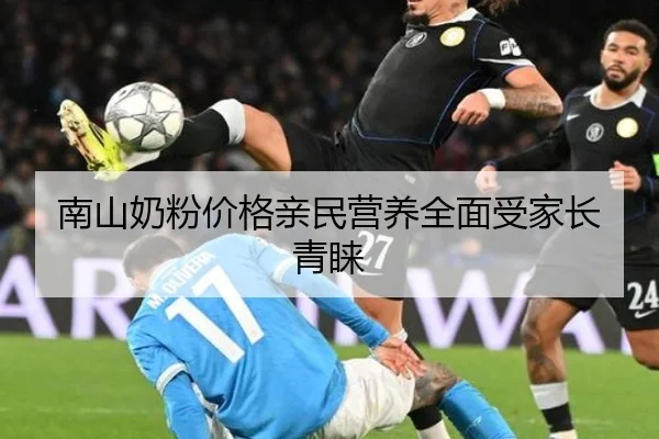 南山奶粉价格亲民营养全面受家长青睐
