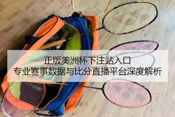 正版美洲杯下注站入口 专业赛事数据与比分直播平台深度解析